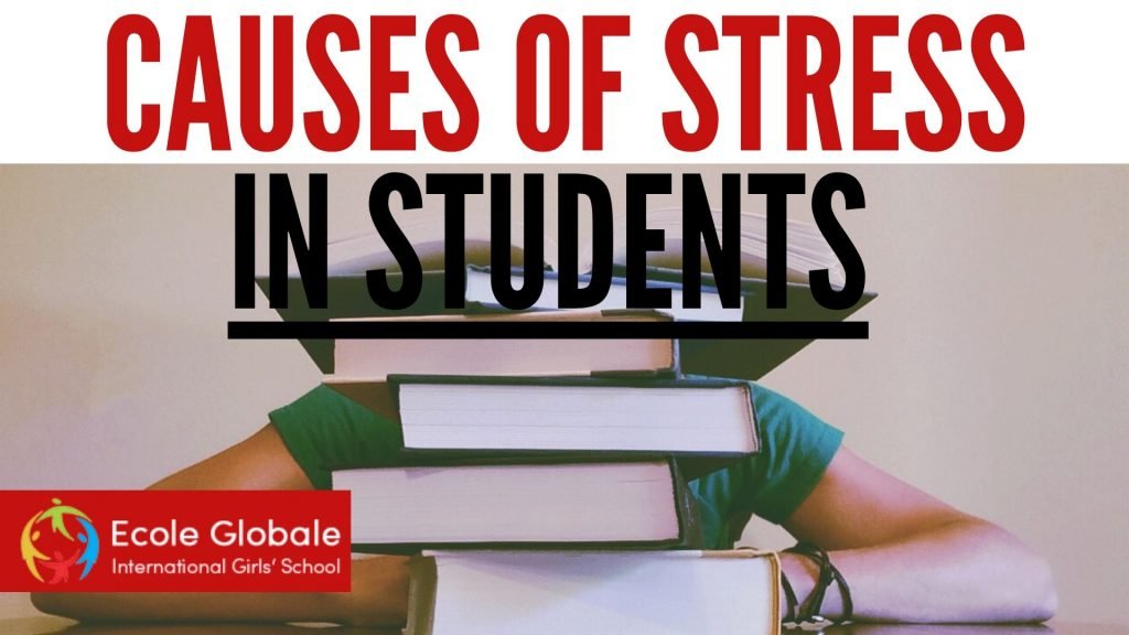 causes of stress in students essay