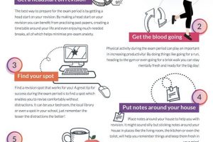 Top 7 tips for revision to secure best scores