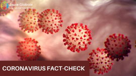 CORONAVIRUS FACT-CHECK: NO EVIDENCE OF A SECOND WAVE, WE ARE AMIDST ‘ONE BIG WAVE’