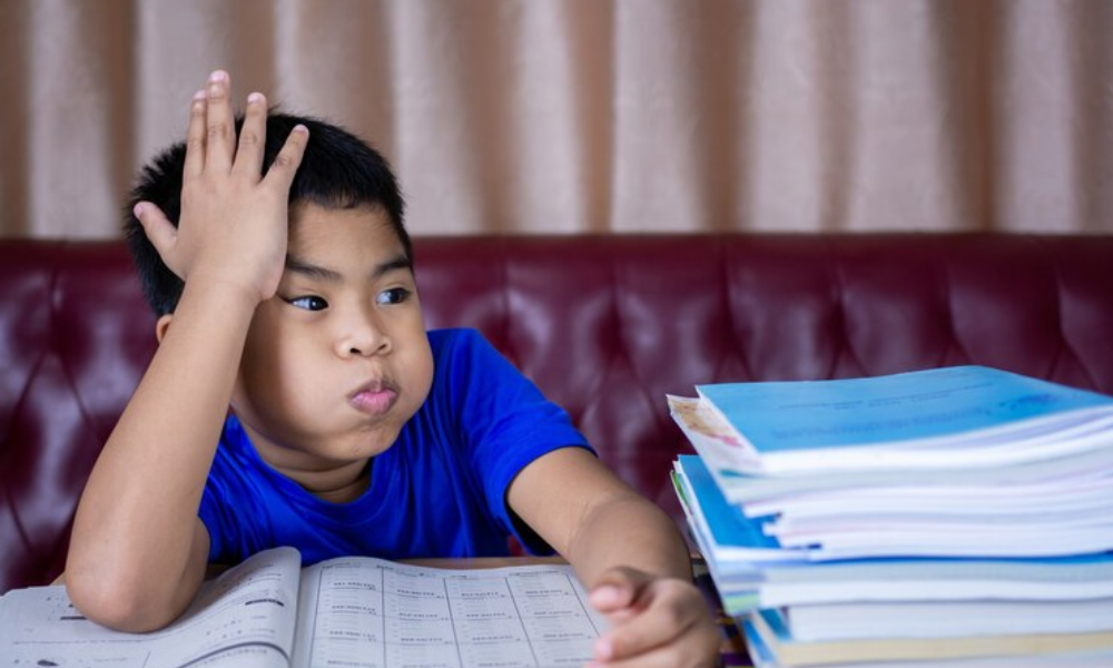 How much School homework is considered too burdensome