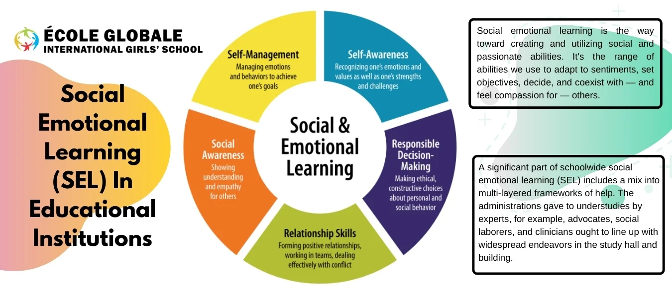 You are currently viewing Social Emotional Learning (SEL) In Educational Institutions