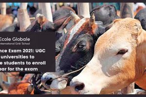 Cow Science Exam 2021: UGC asks universities to encourage students to enroll & appear for the exam