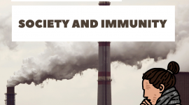 Adverse Effects Of Pollution On Society and Its Immunity