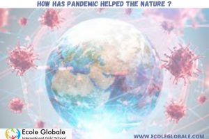 How The Pandemic Has Helped The Nature