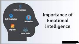 The Importance Of Emotional Intelligence In Education