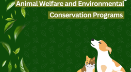 Animal Welfare and Environmental Conservation Programs in Dehradun Boarding Schools