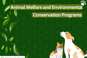 Animal Welfare and Environmental Conservation Programs in Dehradun Boarding Schools