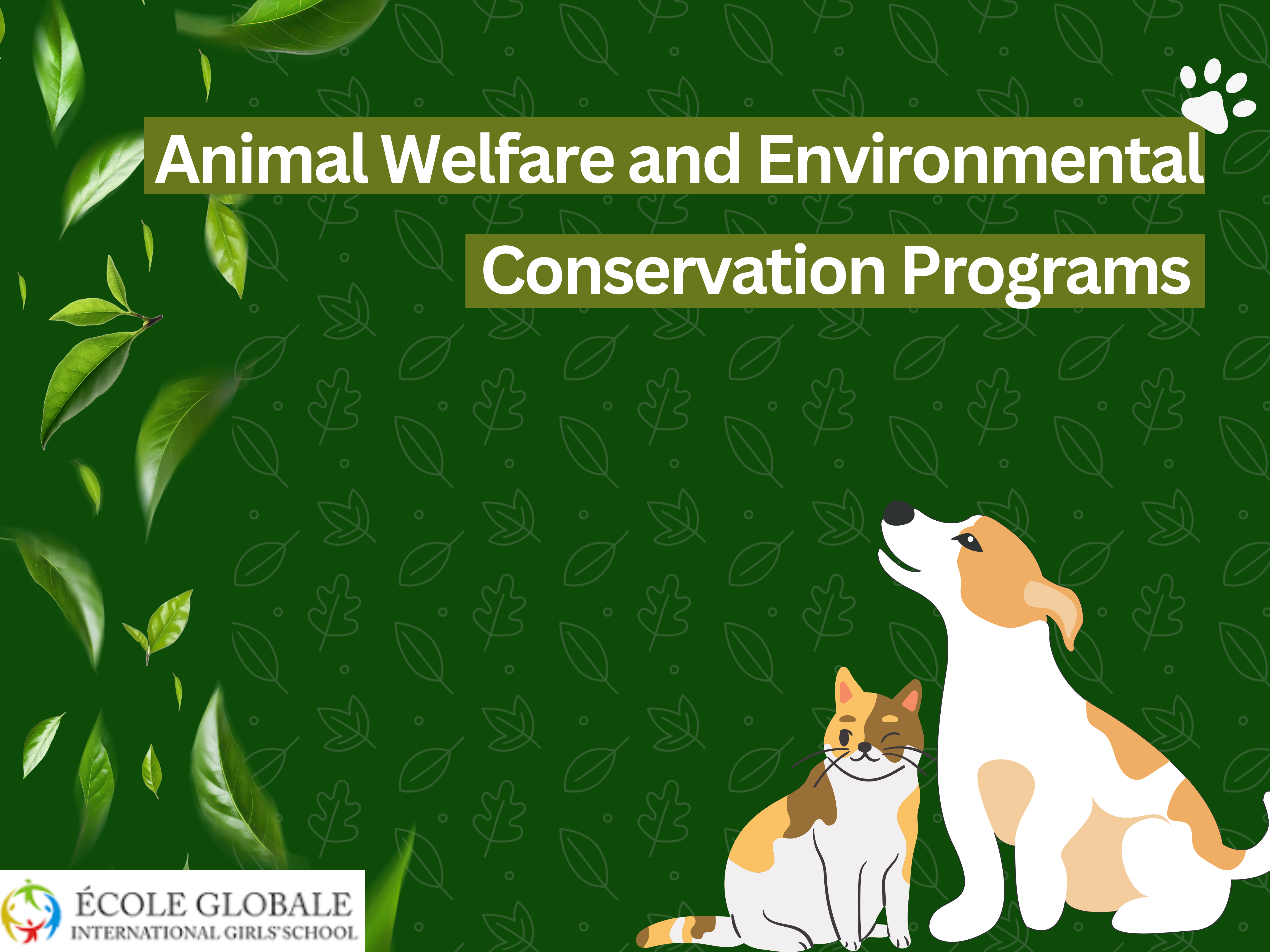 You are currently viewing Animal Welfare and Environmental Conservation Programs in Dehradun Boarding Schools